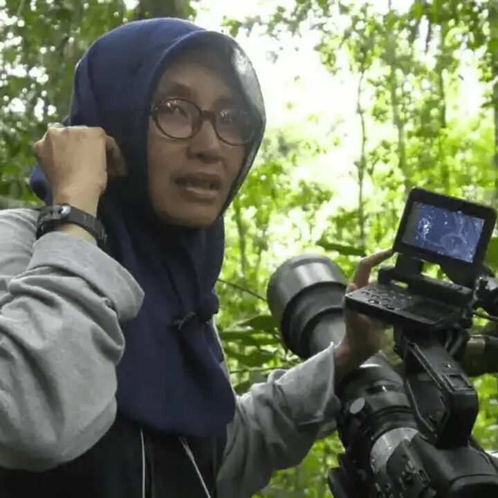 Pakar Primata: Monyet dan Kera Bukan Binatang Peliharaan