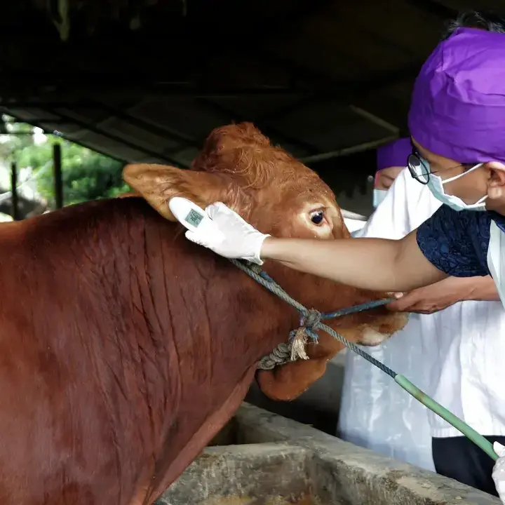 Miris, Jumlah Dokter Hewan di Indonesia Masih Sangat Minim